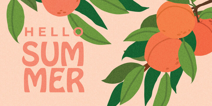 Summer textured poster with peaches and green leaves in warm tones. Fresh summer illustration. For seasonal advertising, banner, social media and summer ads