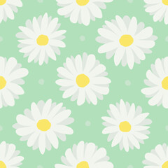 Obraz premium Seamless pattern of daisies on green background. Vector chamomile.