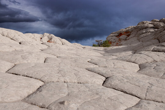 View of White Pocket rock formations with unique brain-like textures under a dramatic dark stormy sky Coconino County, Arizona, United States.