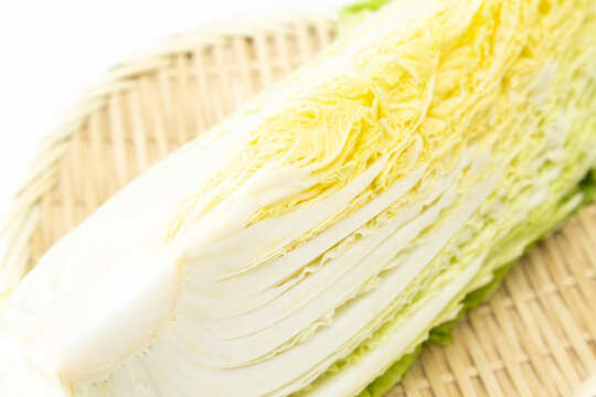 笊に乗った白菜　白バック