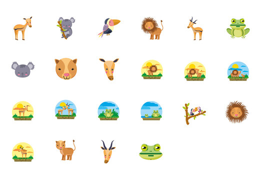 Safari Animals Illustration Set