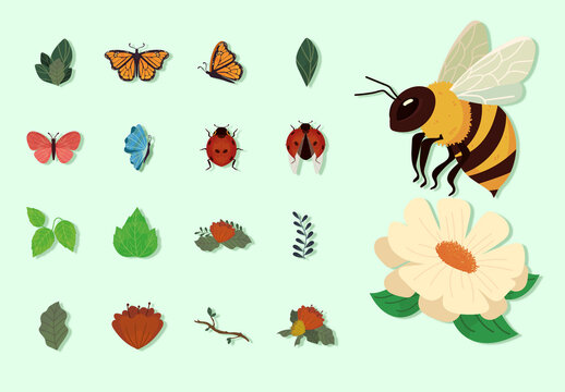 Botanical Nature Illustration Set