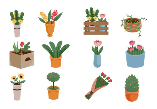 Flower Plants Illustration Set