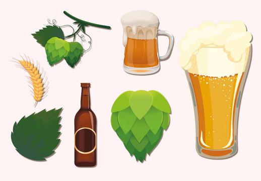 Beer Brewing Ingredients Illustration Set