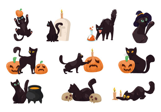Halloween Cat Illustration Set