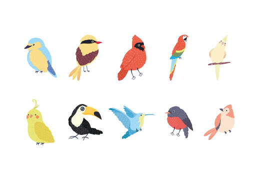 Cute Bird Doodle Illustration Set