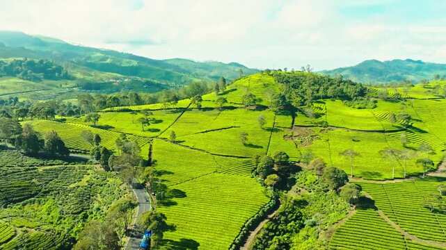 Green hills landscape lush countryside aerial view