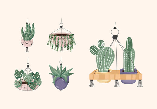 Macrame Plant Illustration Set