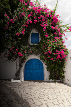 View of a traditional blue arched door and window framed by vibrant pink bougainvillea flowers on a white wall in Tunis, Tunis Governorate, Tunisia.
