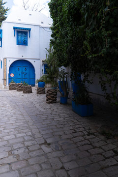View of a traditional white-washed building with a vibrant blue arched door and window shutters along a cobblestone alley with lush greenery and potted plants Tunis, Tunis Governorate, Tunisia.