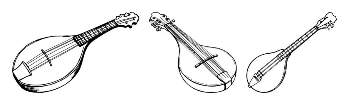 Mandolin tailpiece set with black line art design on white background featuring mandolin, tailpiece, engraving with musical instrument and illustration