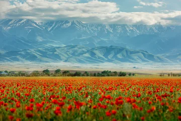 Fotobehang Klaprozen Blooming red poppy fields with mountain landscape in the background in Kazakhstan. Scenic spring meadow covered with wild poppies against majestic mountain scenery in Central Asia  © Tatyana_Drujinina