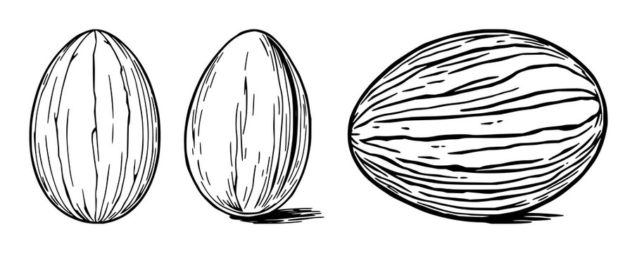 Vintage wooden darning egg set with black line art on white background featuring craft, woodworking, illustration with vintage and minimalist