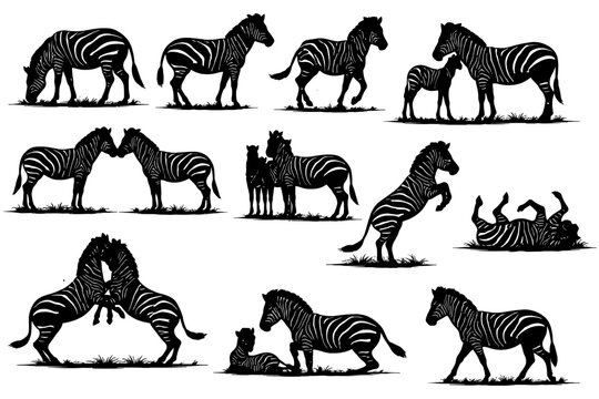 Zebra silhouettes in various poses and activities.