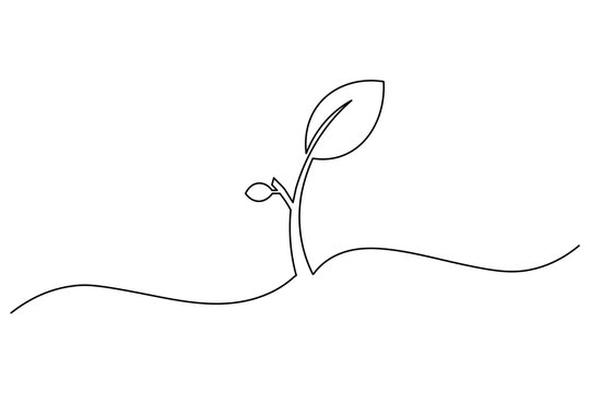Plant growth sprout continuous one line minimal outline vector icon