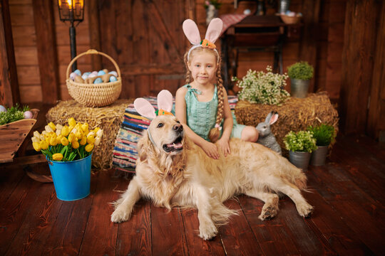 Bunny Dog Friends