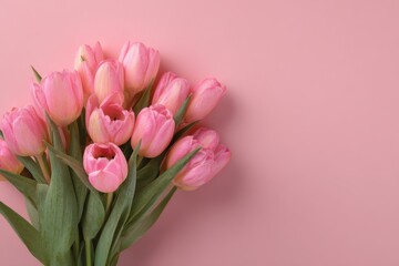 Obraz premium Spring floral composition featuring pink tulips on a soft pink backdrop, ideal for Easter and Mother's Day