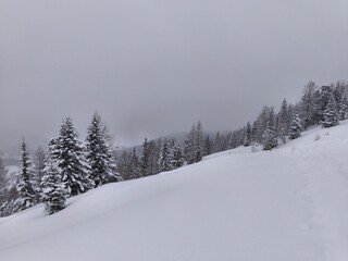Fototapeta premium winter snowy nature in the alps