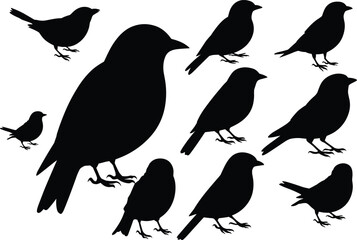 Fototapeta premium Bird silhouettes collection with various perching poses, small songbirds and crow shapes, wildlife illustration set for nature design, icons, and creative projects
