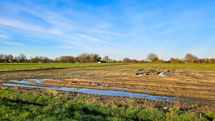 Countryside agriculture field with puddles due to heavy rain in the Netherlands. Flat Futch farmland landscape in spring after winter. © Laura