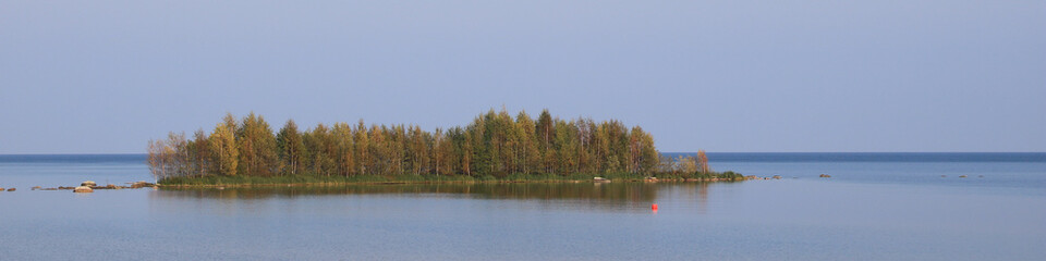 Fototapeta premium Golden trees on a small island, dreamlike autumn scene in Vita Sannar, Sweden.