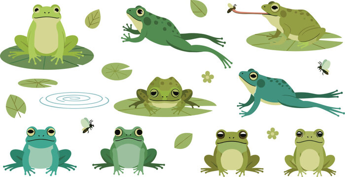 Professional Cute Frog Wildlife Vector Set Featuring Cartoon Amphibians Jumping Sitting on Lily Pads and Catching Flies for Nature Designs