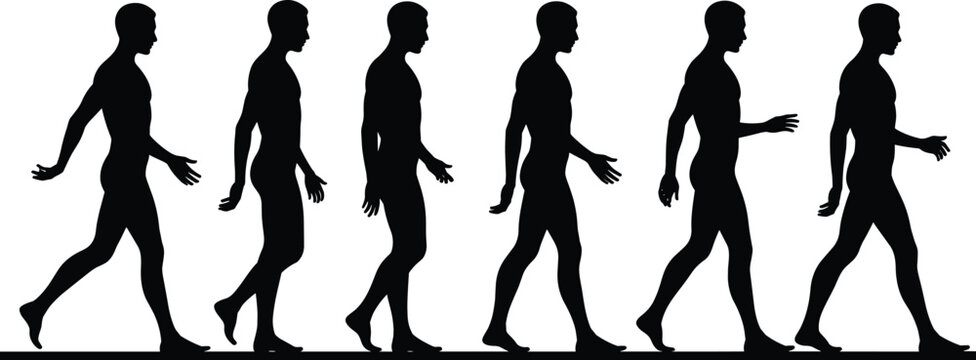Set of male walking silhouettes in different step positions isolated on white background for motion study, animation reference and design use