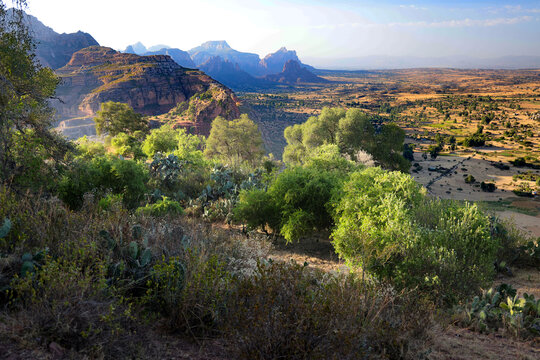 View of the Ambe del Gheralta territory at sunset, Ethiopia