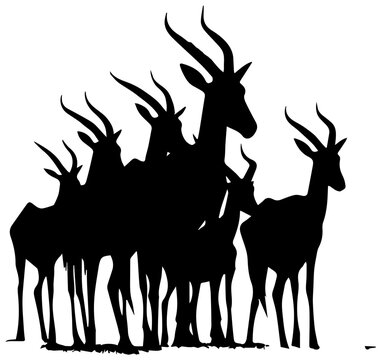 A group of impalas standing together