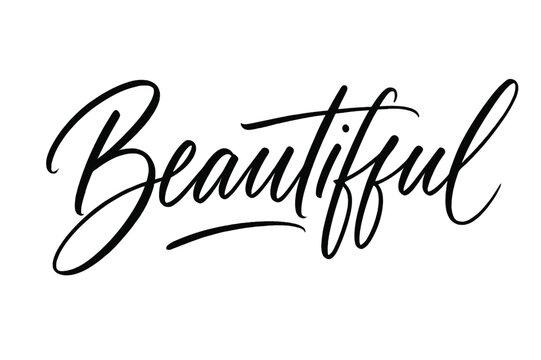 Elegant Script Art. Script Hand-Lettering style with brush script, fluid strokes, semi-cursive with soft curves, expressive fast brush strokes, elegant thin