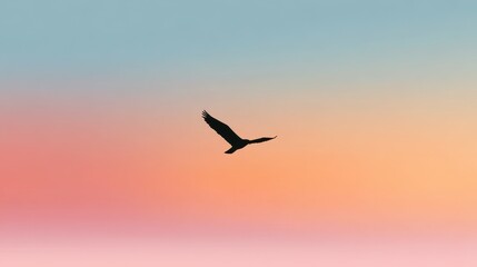 Fototapeta premium Open Sky Composition Featuring a Bold Bird Silhouette