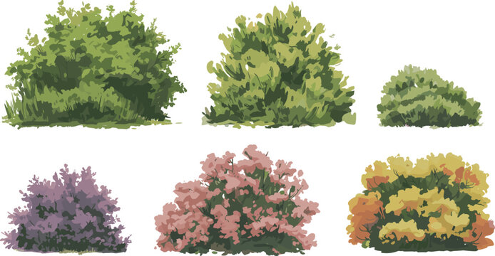 Green bushes and flowering shrubs collection, decorative garden plants set with lush foliage and colorful blooms, isolated vector illustration for landscaping design use
