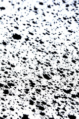 Fototapeta premium Close up of black ink paint splatters on a white background
