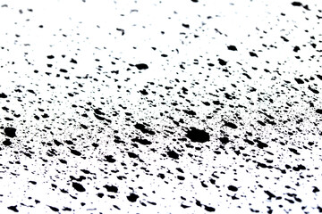 Fototapeta premium Close up of black ink paint splatters on a white background