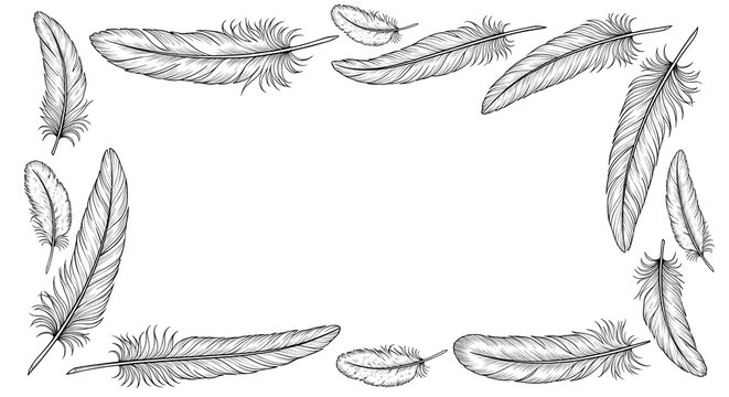 Ethereal hand-drawn feather border illustration in sketch style, creating a delicate decorative frame for elegant design elements and gentle natural themes