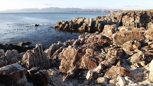 Rocky coastline, DeKelders,  South  Africa, overlooking Walker Bay Nature Reserve
