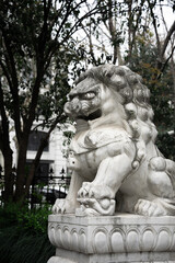 Obraz premium Majestic stone lion sculpture crouching in a traditional Chinese courtyard surrounded by green trees