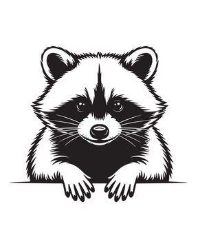 A black and white ink illustration of a cute raccoon peeking over a horizontal straight line edge