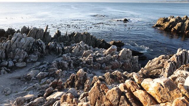 Rocky coastline, DeKelders,  South  Africa, overlooking Walker Bay Nature Reserve
