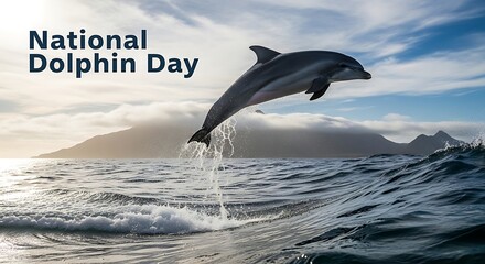 Fototapeta premium National dolphin day celebration with a dolphin leaping out of the ocean
