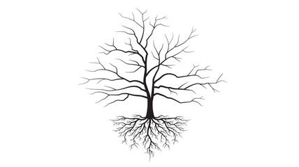 Tree silhouette with intricate exposed roots on a clean white background, representing life and foundation © RASHIDAPARVIN