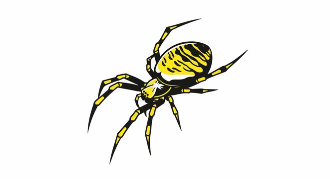 A black and yellow striped spider is depicted from a slightly elevated angle