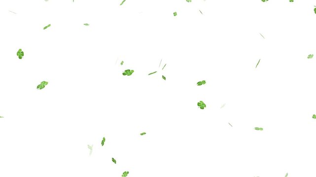 A lucky clover leaf transition featuring swirling shamrock leaves,  leaves floating and green light trails against white background. clover leaves pattern on green background 4k,