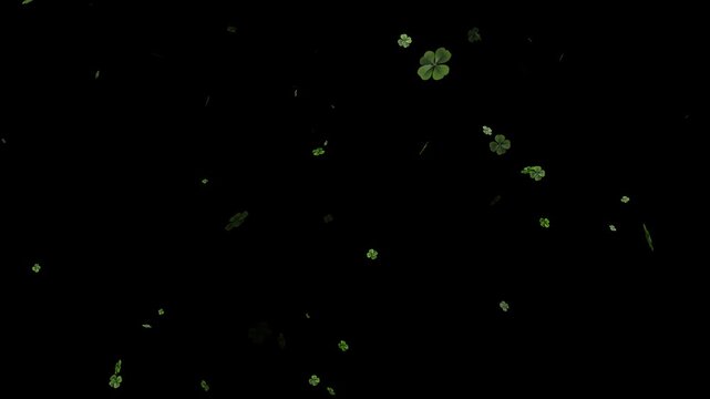 Green Flying Three Four Leaf Clovers St Patrick's Day, Experience continuous luck with this 3D shamrock leaves falling transparent alpha loop. A magical clover leaf transition with glowing shamrock.