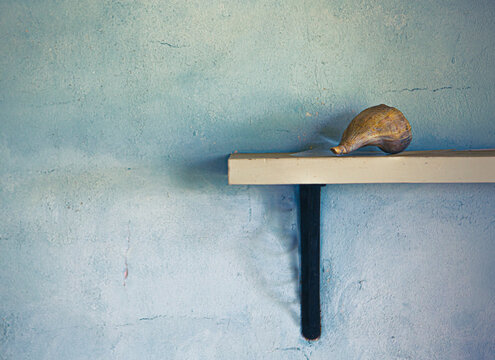 A seashell on a shelf