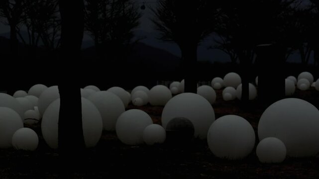  Eerie white glowing orbs in a dark creepy night forest, supernatural sci-fi concept video, mysterious extraterrestrial light installations among spooky trees, cinematic nature 