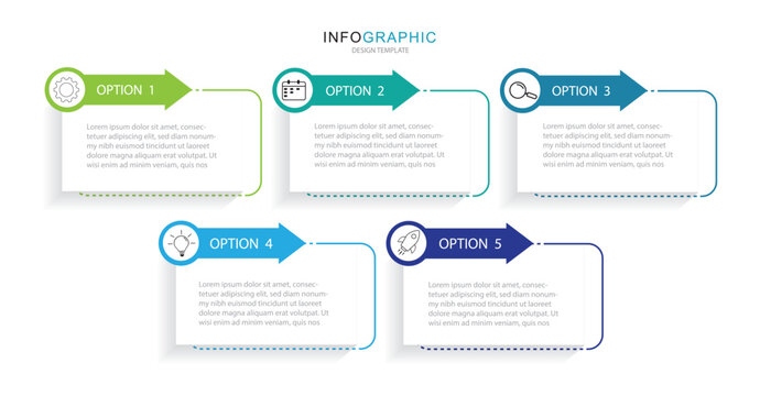 modern infographic template business infographic whit 5 steps