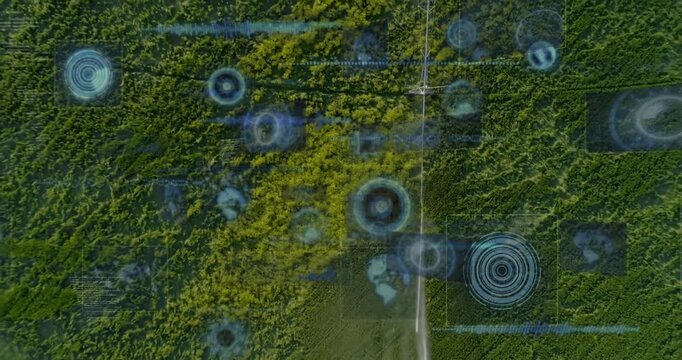 Aerial view of forest with digital data processing animation overlay
