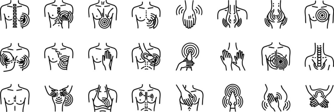 Anatomical illustrations of human body systems organs and skeletal structures