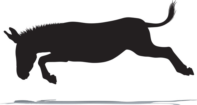 Bucking Donkey Silhouette Vector Illustration Featuring Mid-Air Jump and Ground Shadow for Farm Ranch Branding Political Symbols and Animal Motion Graphics Flat Vector Illustration
